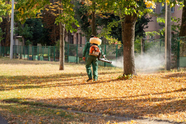 Insect Control in Cottage Grove, WI