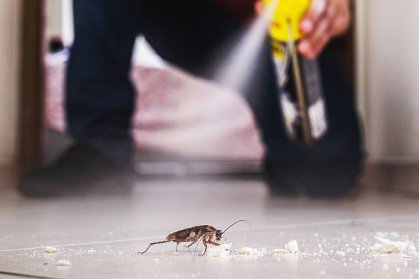 Best Best Pest Control Companies  in Cottage Grove, WI